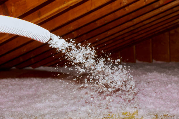 Best Spray Foam Insulation in South Shore, KY