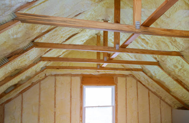 Best Spray Foam Insulation in South Shore, KY