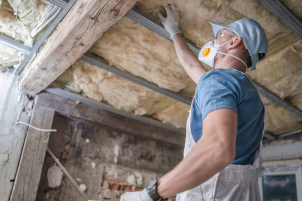 Best Specialized Insulation Services in South Shore, KY